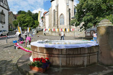 Bluemteppich auf dem Naumburegr Marktplatz (Foto: Karl-Franz Thiede)